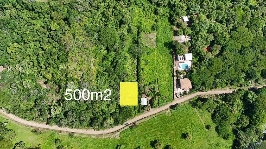 dji_fly_20240712_93340 AM_0027_1720990707375_photo copy