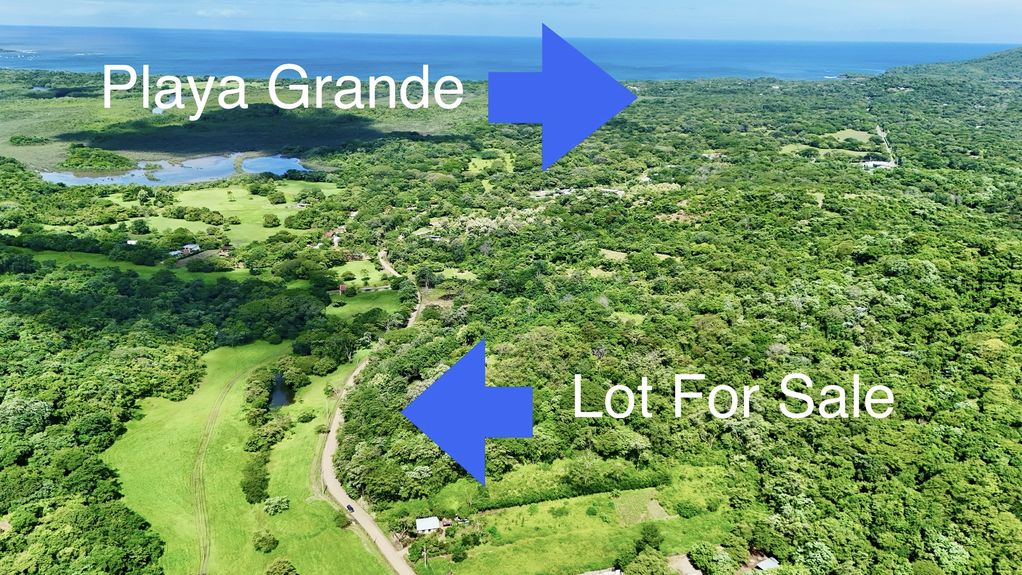 dji_fly_20240712_93500 AM_0029_1720990704737_photo