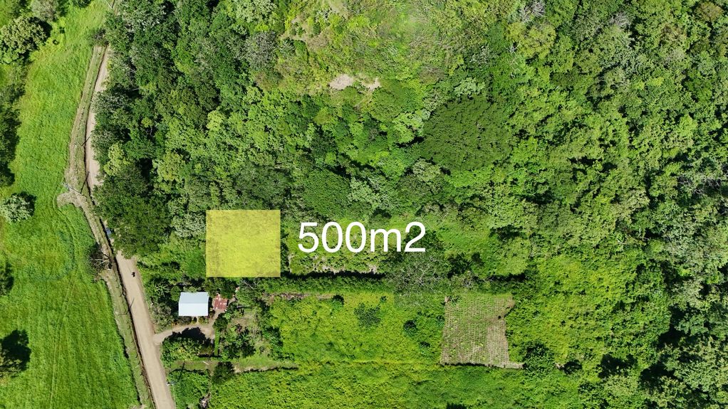 dji_fly_20240712_93752 AM_0037_1720990694239_photo copy