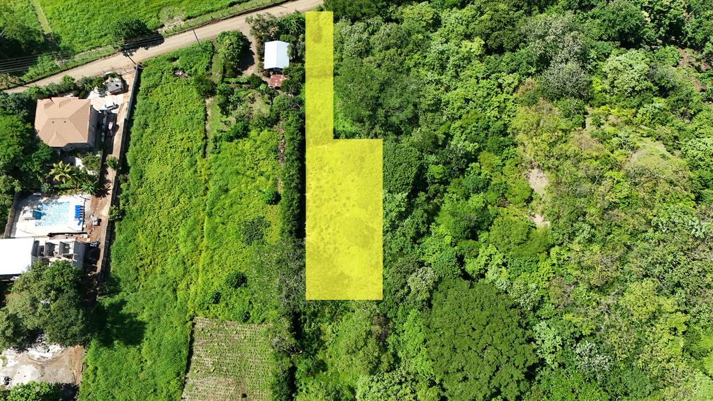 dji_fly_20240712_93812 AM_0038_1720990692782_photo