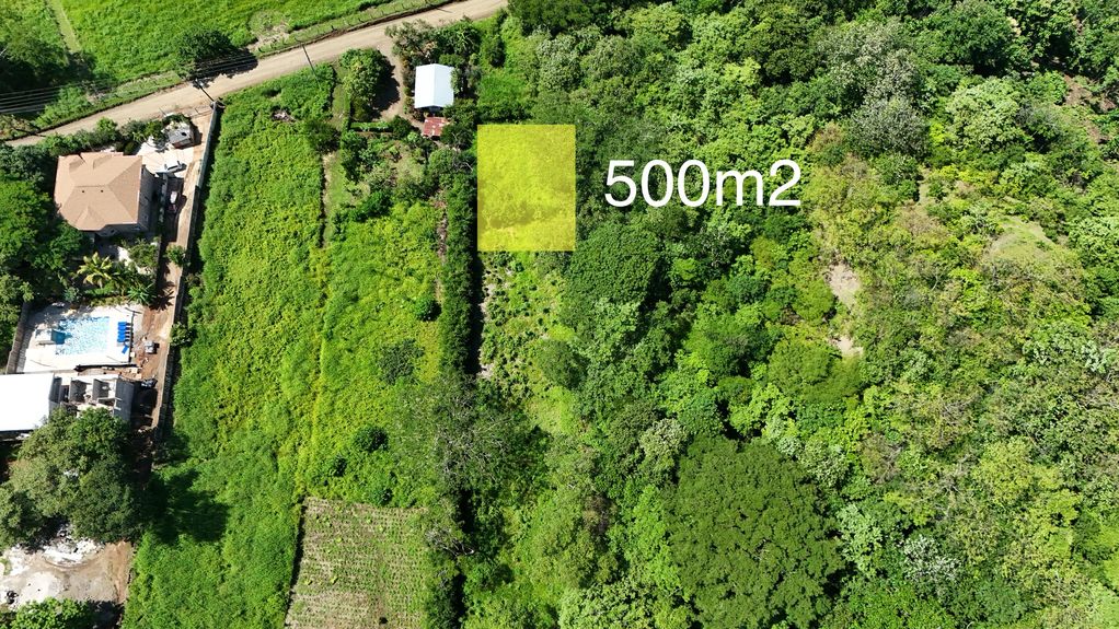 dji_fly_20240712_93812 AM_0038_1720990692782_photo copy