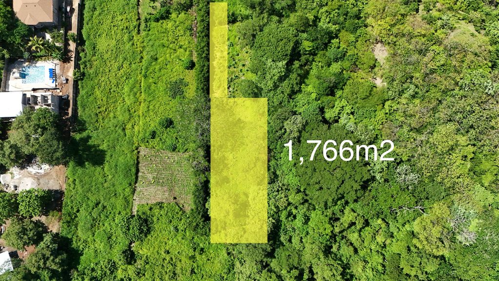 dji_fly_20240712_93818 AM_0039_1720990691360_photo