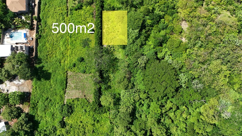 dji_fly_20240712_93818 AM_0039_1720990691360_photo copy