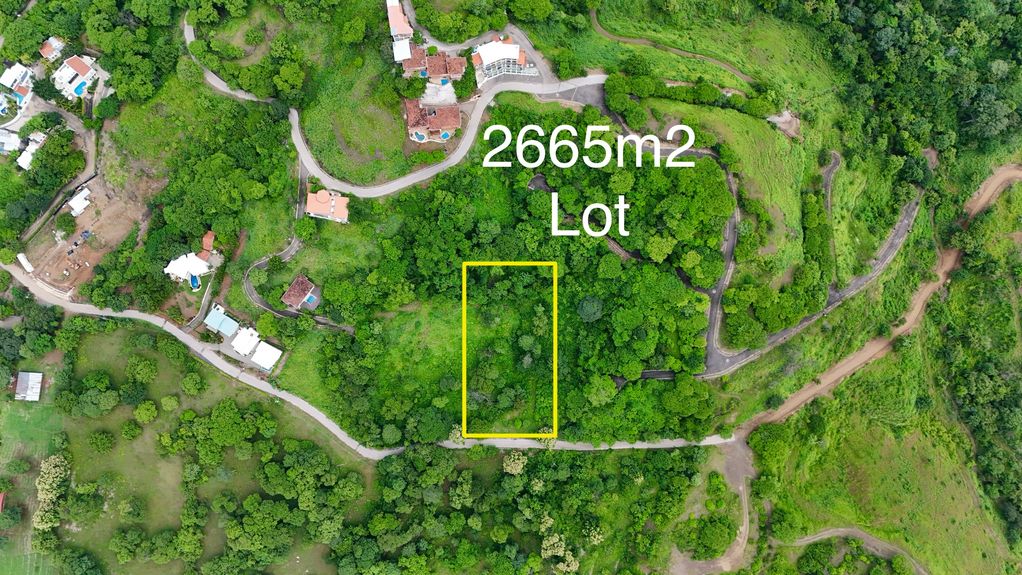 dji_fly_20240720_13040 PM_0099_1721667798334_photo