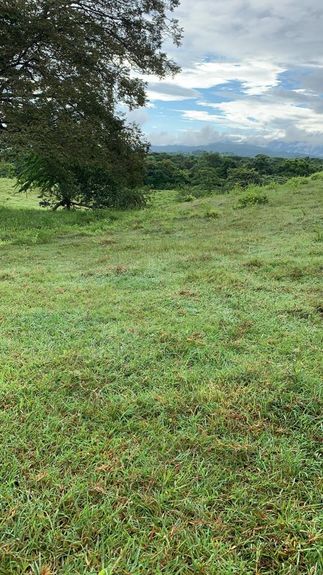 1988d8ce-b316-489d-926c-cf387ef7c137