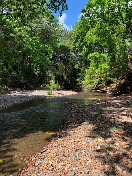 20ddf4eb-eb71-4b62-ba3e-110c656a3663