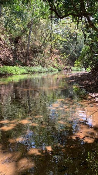 3caece94-4e15-44a7-8e69-be7615a4727b