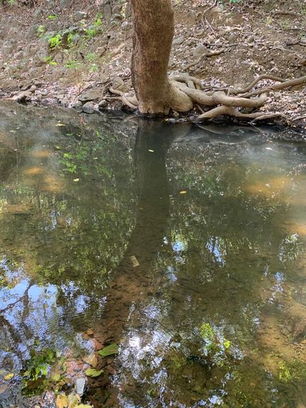 52db83d3-6f60-4c15-bfae-9d4ff3333bae