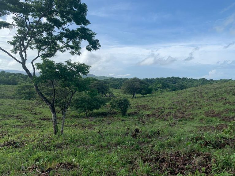 537dd02c-9eec-4694-a989-e11a299e0cba