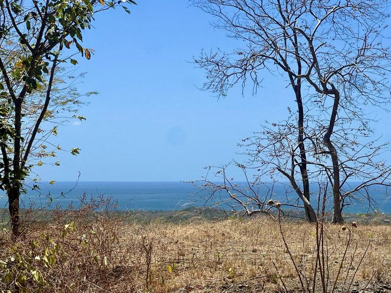 78ca53d7-e015-46ff-922a-88293489498d