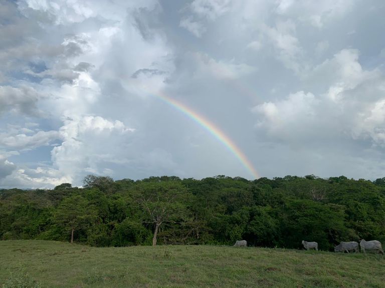 99087756-4c88-41bd-886e-07fc3083266e