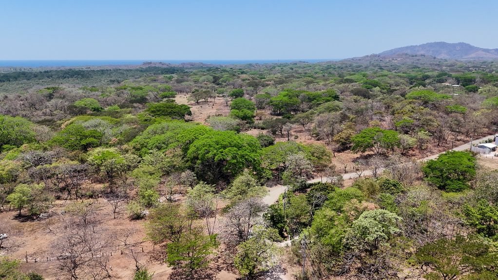 DJI_20240402114732_0007_D