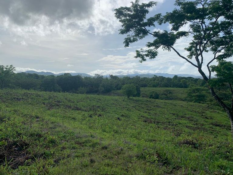 c131968c-5f2f-44a8-aa86-11892eaaf3a4