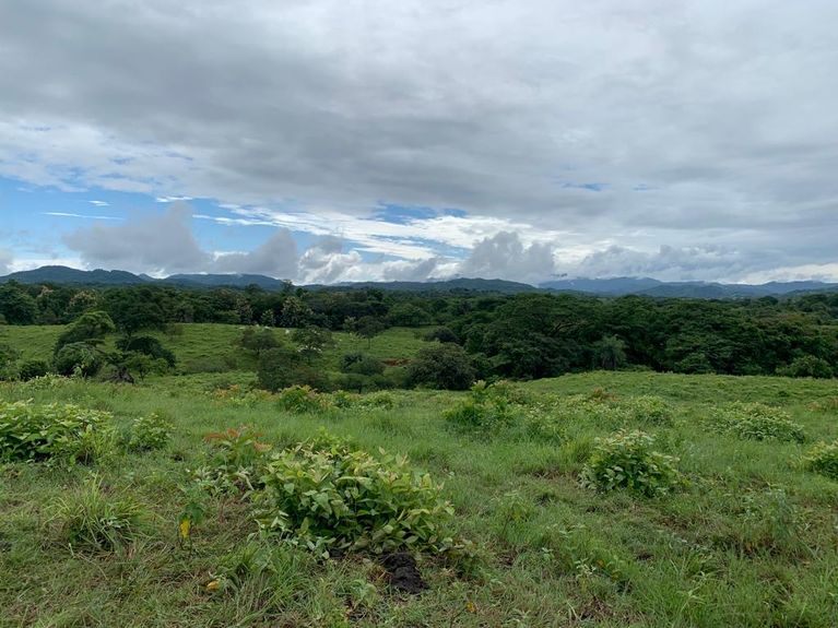 f6980e09-1411-4507-8bb9-ac19b6d1e3c1