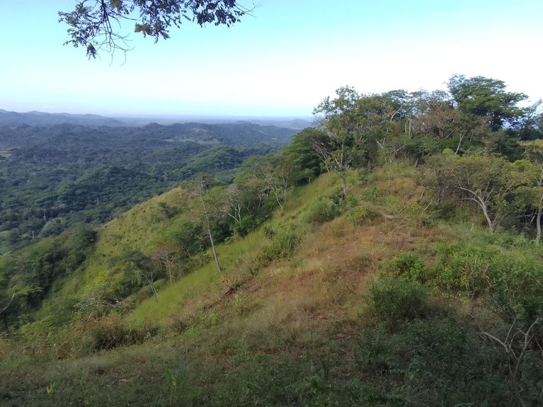 033c5817-5dea-4942-881f-3d19756cd3f4