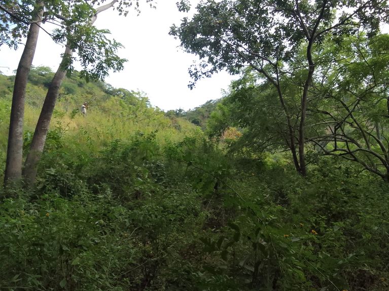 111531e4-9d4a-485d-9c24-0619d4235513