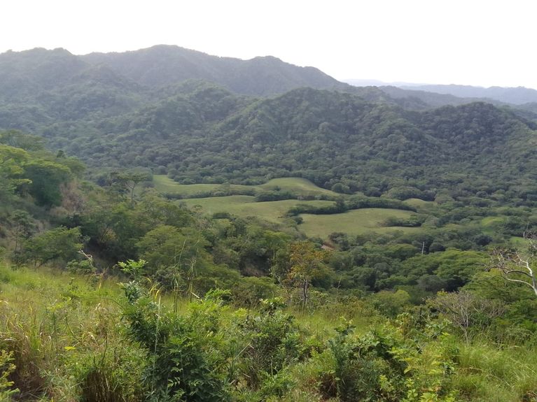 15cb6399-f448-4d8a-9b3c-4c5375214e2b