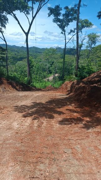 810c36a8-666c-4d3a-999d-9ecac24daf72