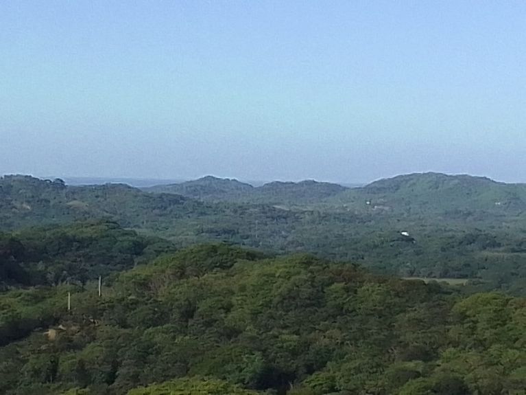 8b988e38-f2d8-40da-b59b-62012bbcad14