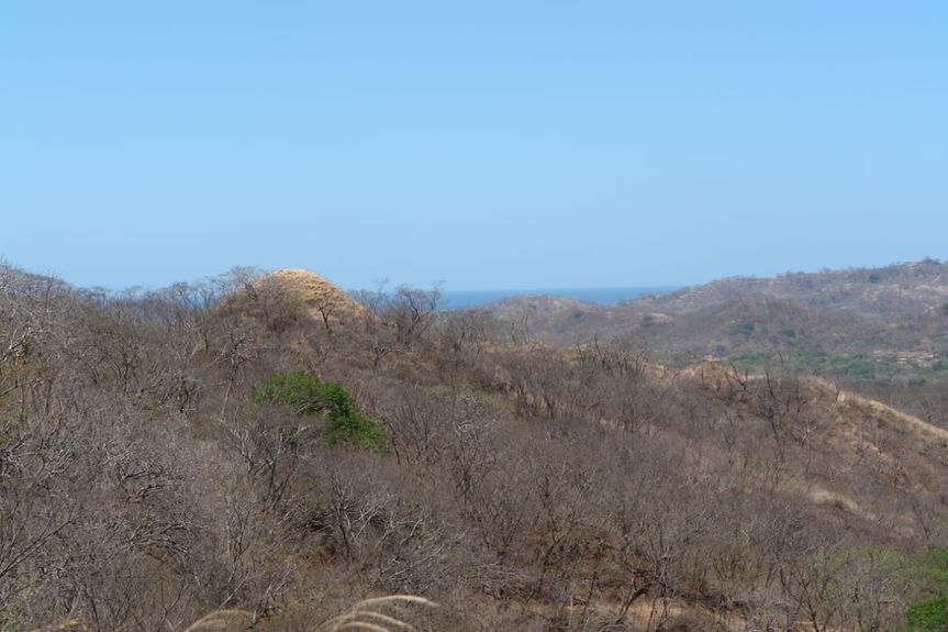 94d30b8b-9e37-49c2-a3d1-a0bf76d65fc7