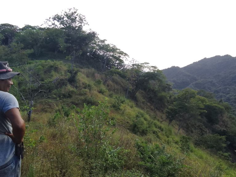 d17a656c-c54e-4e02-ac3b-52de6f3f141b