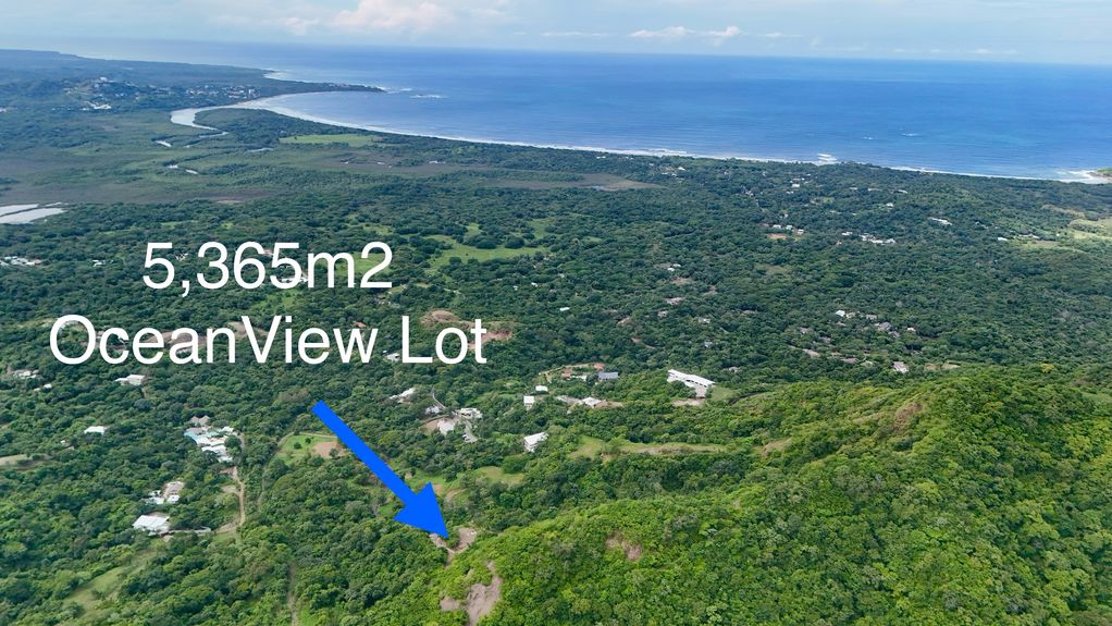 dji_fly_20240910_92534 AM_0172_1726009898461_photo 2