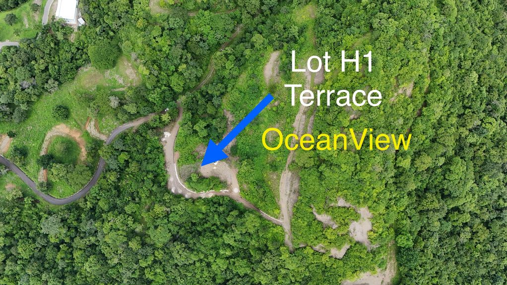 dji_fly_20240910_93244 AM_0199_1726009865456_photo