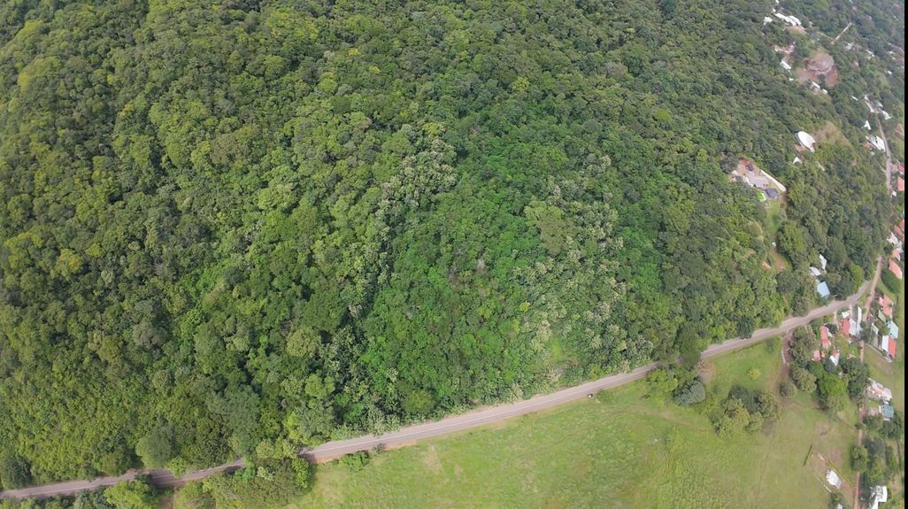 2f9b0166-3d9c-4150-af42-a21c364810a7