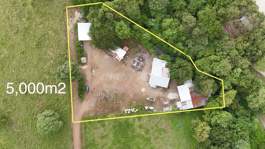 dji_fly_20241015_52138 PM_0274_1729094958121_photo