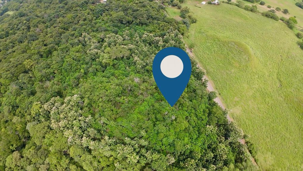 e9d5c7fe-dcbf-49df-b025-775eff9cfd84 2