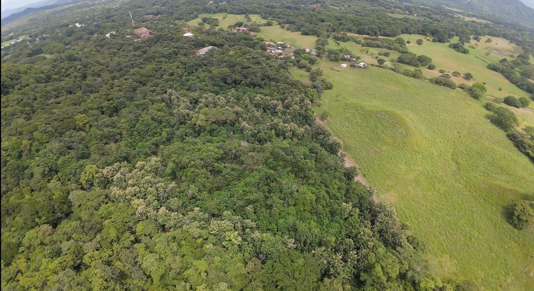 feb58c10-7cef-4b33-ba45-548ea3698699