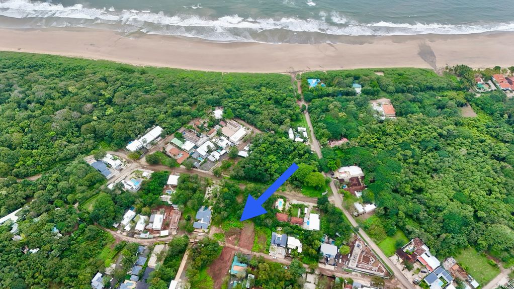 dji_fly_20241119_92306 AM_0455_1732030056099_photo