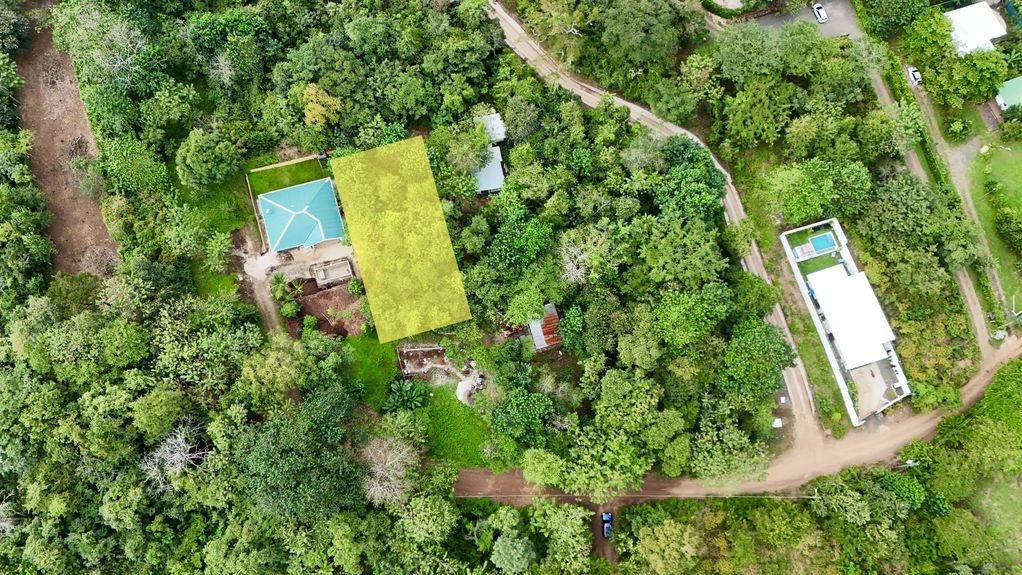 dji_fly_20241129_102106 AM_0099_1732981488575_photo