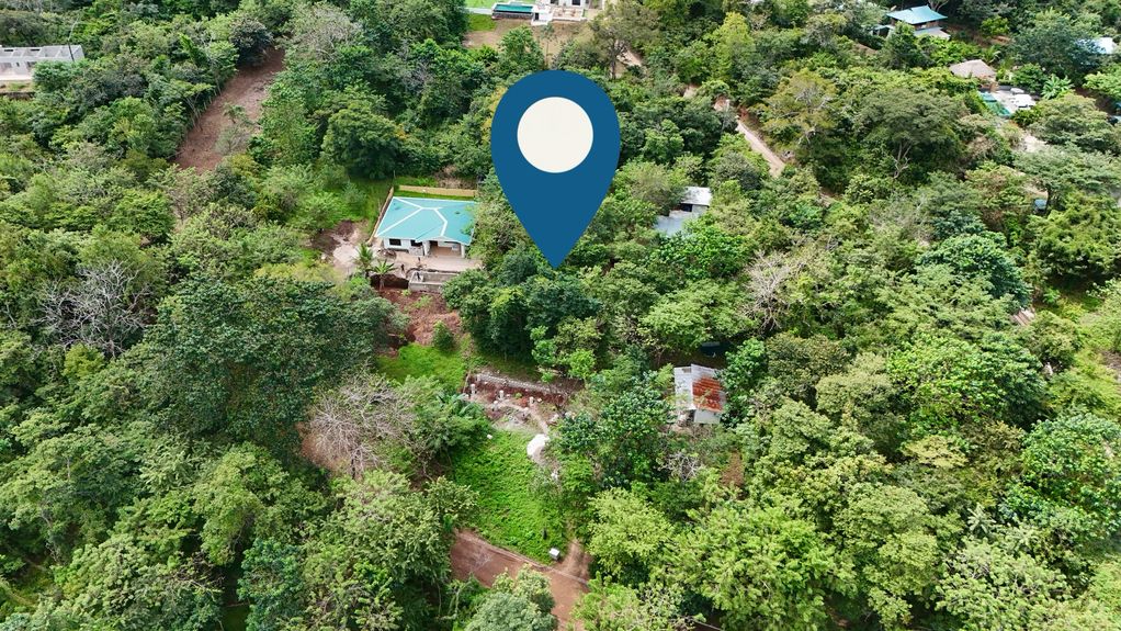 dji_fly_20241129_103024 AM_0536_1732981353086_photo