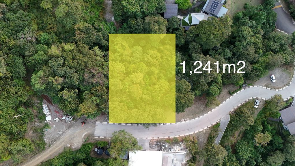 dji_fly_20241204_51942 PM_0121_1733358787444_photo