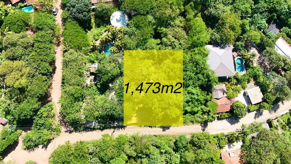 dji_fly_20241210_103352 AM_0687_1734031251572_photo