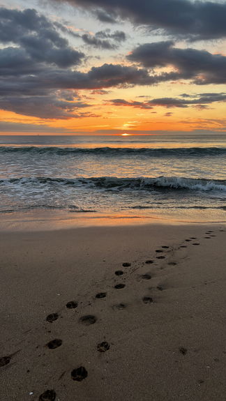 211131BD-39DF-4206-B805-8363801B285E