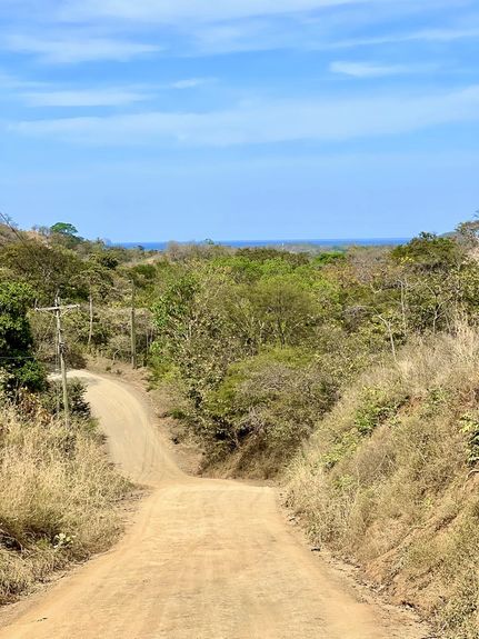 503dce5b-0d4f-4a46-b1d3-d5e03efb15fd