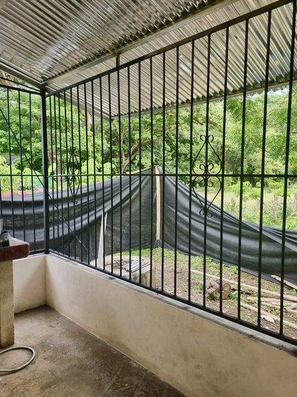 d9810f41-96de-4716-a48b-11841133e137