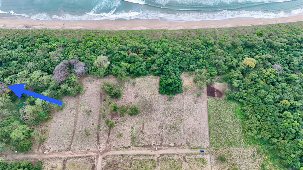 dji_fly_20241231_45250 PM_0839_1735837198693_photo