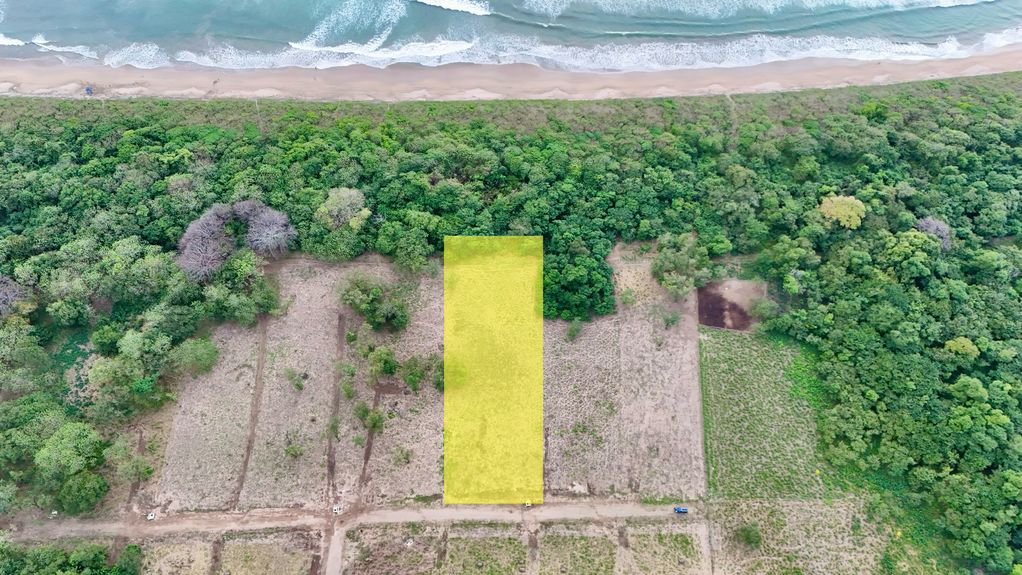 dji_fly_20241231_45250 PM_0839_1735837198693_photo