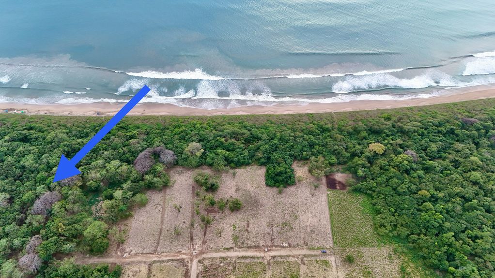 dji_fly_20241231_45312 PM_0841_1735837196505_photo