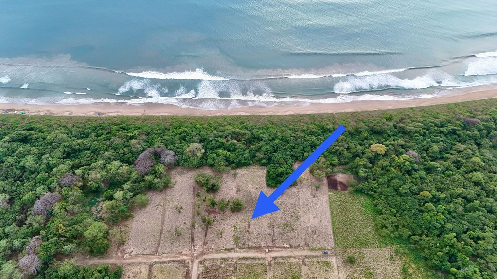 dji_fly_20241231_45312 PM_0841_1735837196505_photo