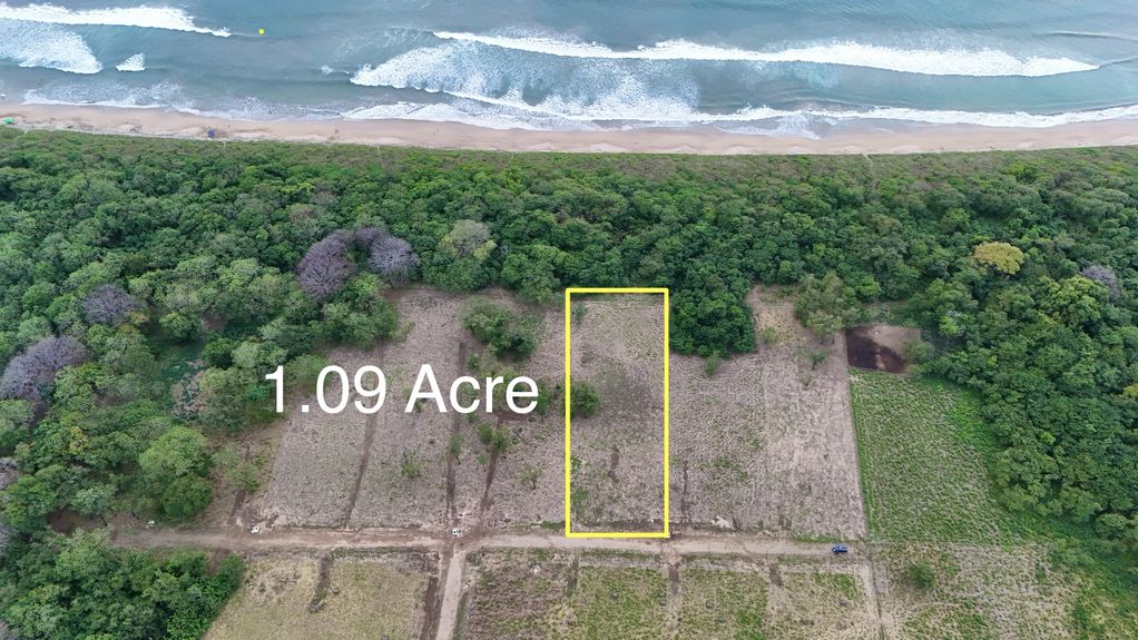 dji_fly_20241231_50438 PM_0852_1735836975939_photo