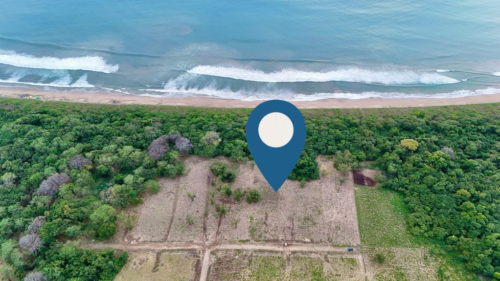 dji_fly_20241231_50444 PM_0853_1735836974765_photo