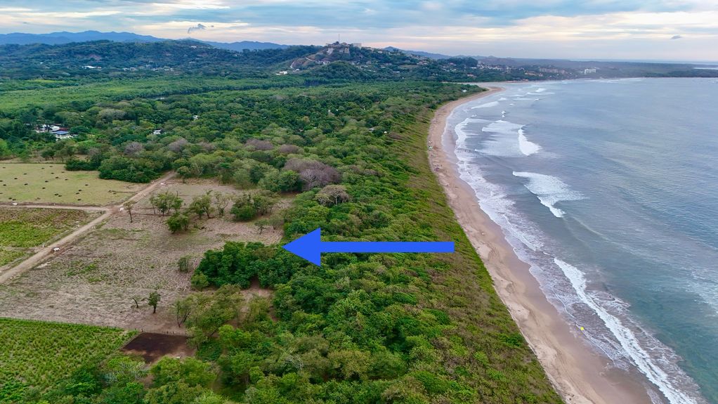 dji_fly_20241231_50918 PM_0863_1735836963221_photo