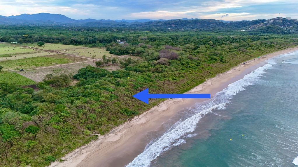 dji_fly_20241231_50934 PM_0864_1735836962143_photo