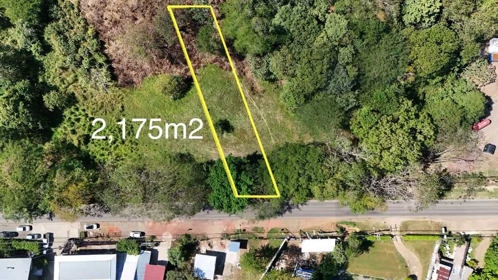 dji_fly_20250106_94948 AM_0902_1736198891811_photo