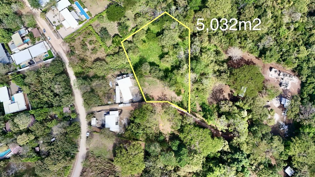 dji_fly_20250118_93720 AM_0006_1737215513739_photo