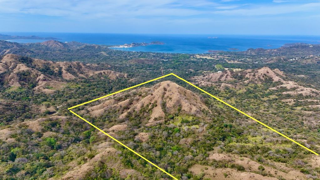 dji_fly_20250129_93838 AM_0115_1738252517418_photo